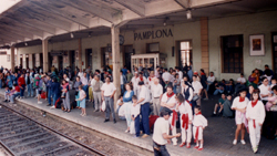 Pamplona Rail Station picture
