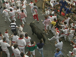Running of the Bulls picture