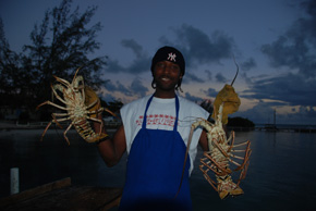 lobster at anegada, bvi