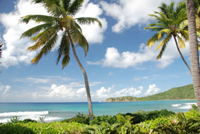 typical resort view in the bvi