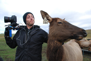 aaron messing with elk