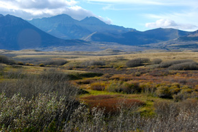 waterton, alberta