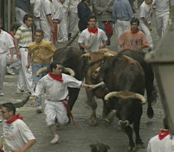 Running with the Bulls photo