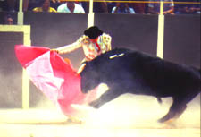 Bullfight