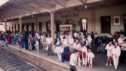 Pamplona Rail Station Pamplona Rail Station picture