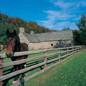 Folk Museum, Wales