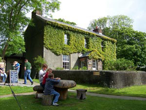 Llangloffen Cheese, Wales
